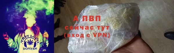 spice Дмитровск