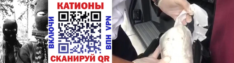 Купить закладки  Кингисепп  МЯУ-МЯУ VHQ 